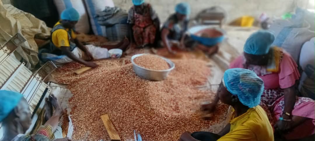 Sorting groundnuts